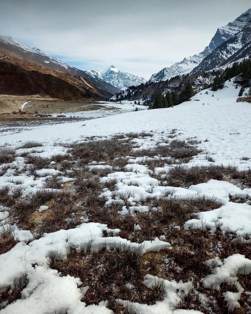 Thawing Snowfield