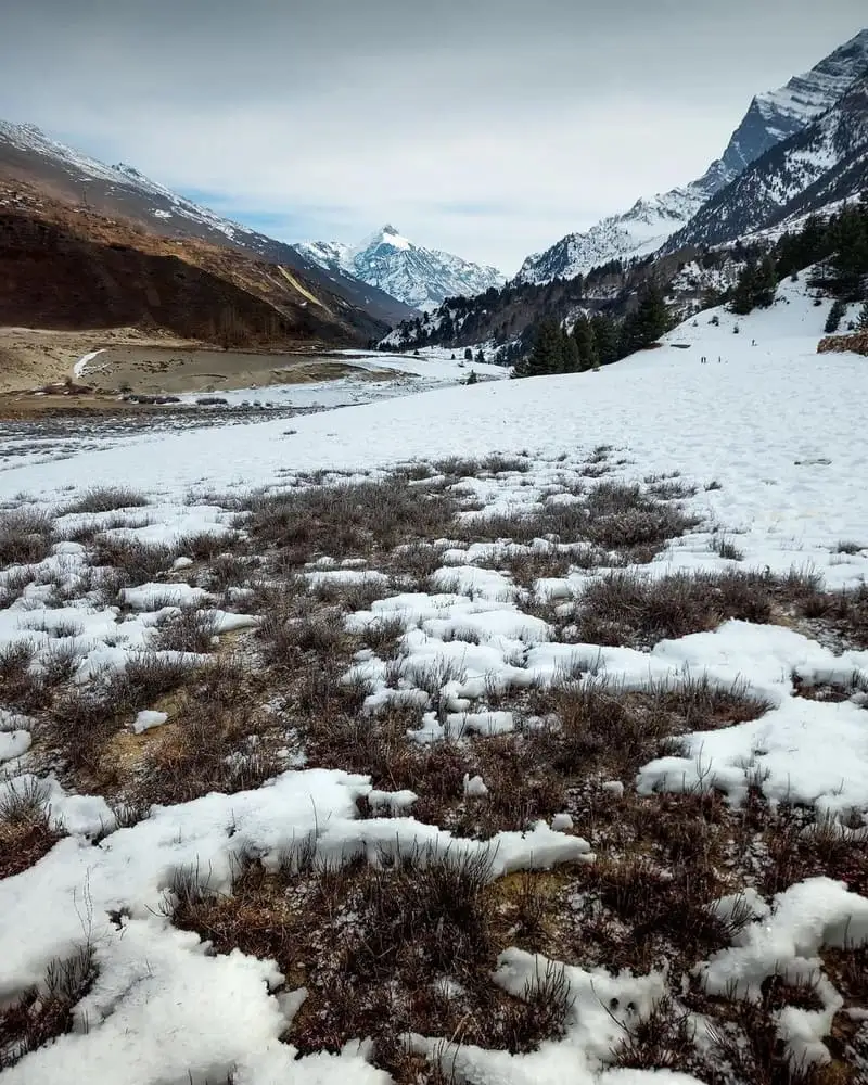 Thawing Snowfield