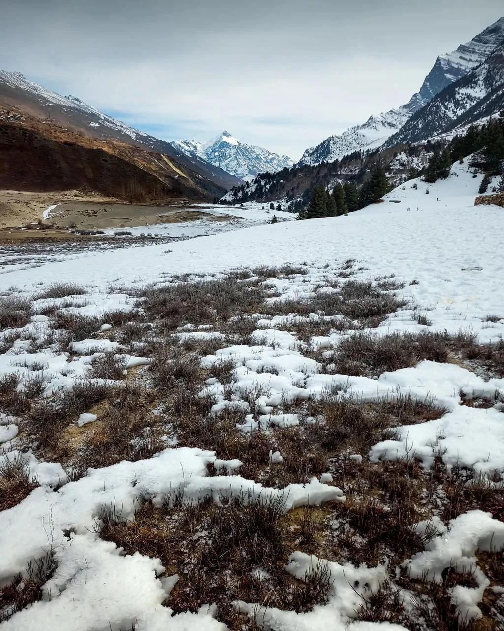 Thawing Snowfield