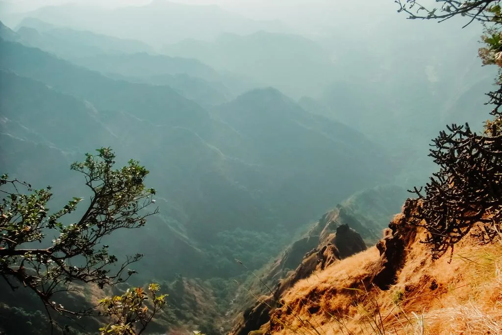 Misty Valley Drop
