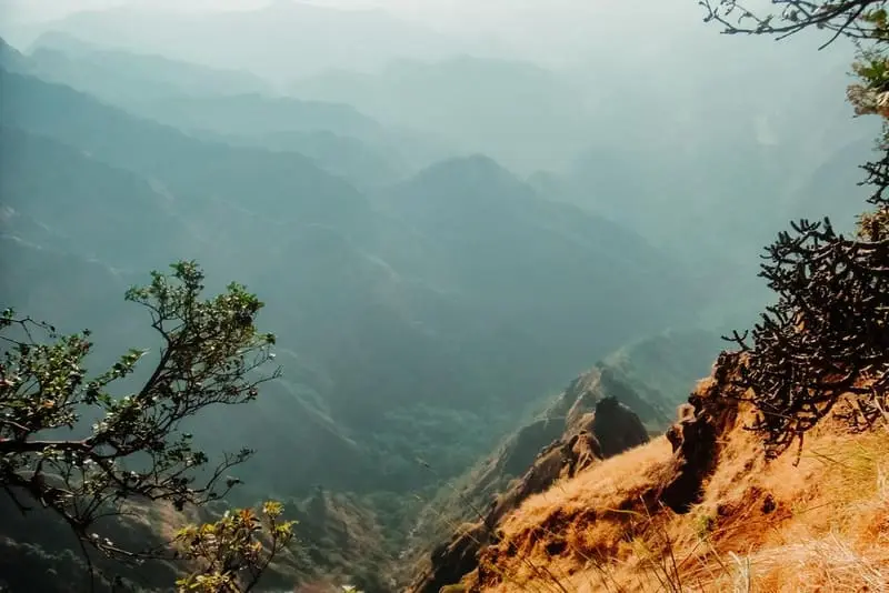 Misty Valley Drop