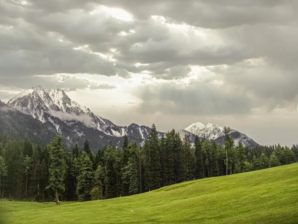 Alpine Meadow