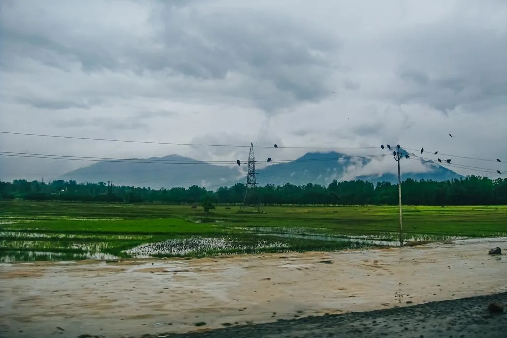 Monsoon Wind Farm