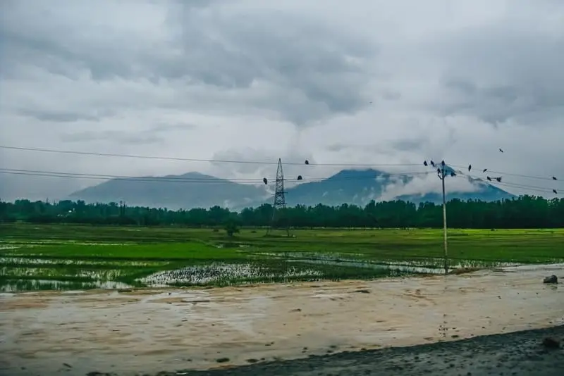 Monsoon Wind Farm