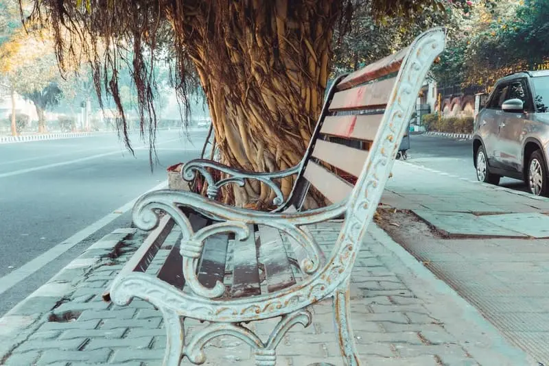 Lakeside Bench