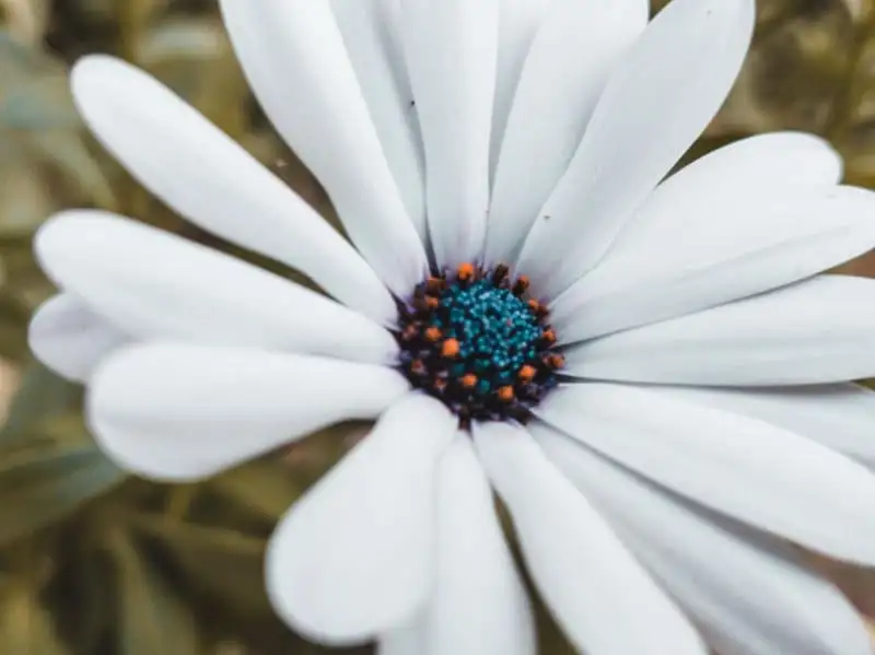 LRM EXPORT 417899645634072 20190325 083444795