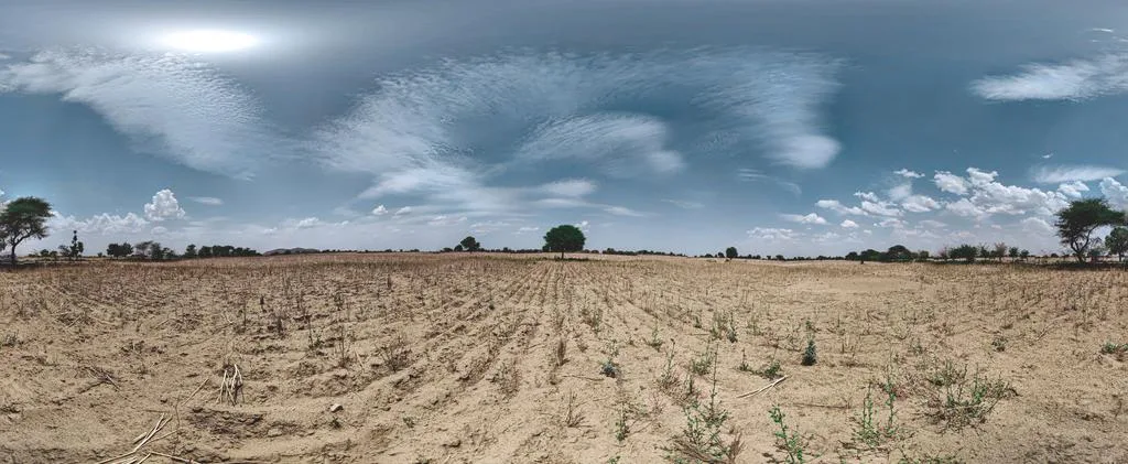 Open Drylands