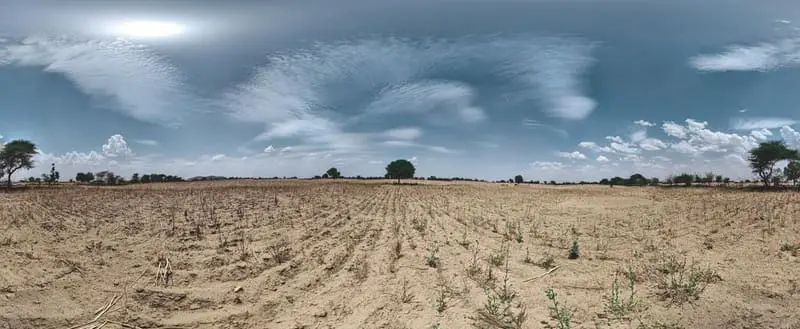 Open Drylands